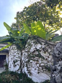 苏州园林