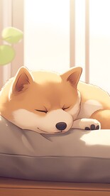 柴犬狗（提供个人学习非商用）