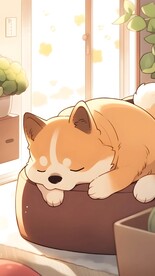 柴犬狗（提供个人学习非商用）