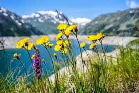 山川湖海