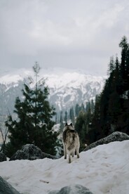 雪山