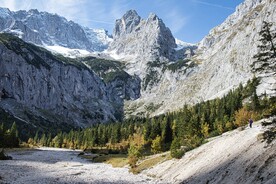 山峰 岩石 树林