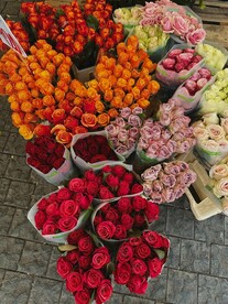 玫瑰花