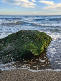海边