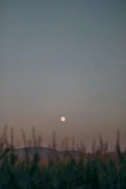 日落