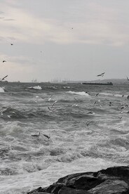 海面