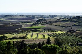 山野风景
