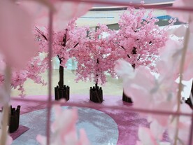 粉色婚庆 梦幻世界