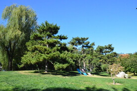 公园风景