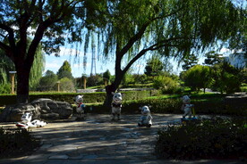 公园风景