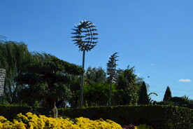 公园风景 