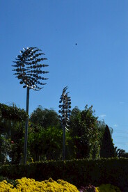 公园风景 
