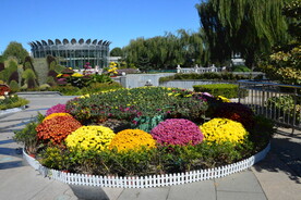 公园风景  