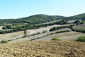 山野风景