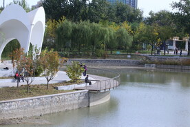 公园风景 