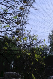 公园风景 
