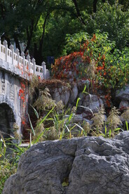 公园风景 