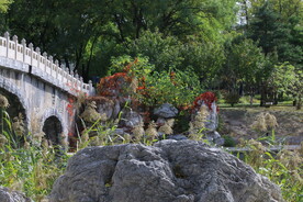 公园风景