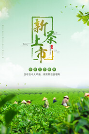创意春茶上市茶叶上新海报