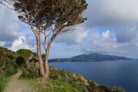 山水风景