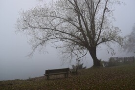 园林长椅休息区