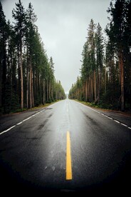 林间道路