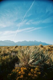 草原风景