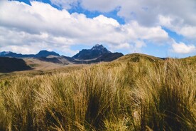 草原风景