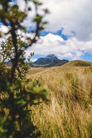 草原风景