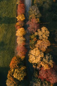 航拍林间道路