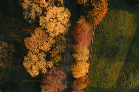 航拍林间道路