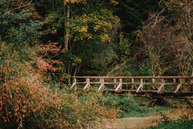 山间河流木桥