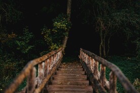 林间木桥