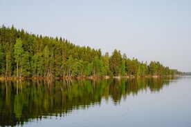 湖边树林风景