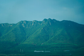 山
