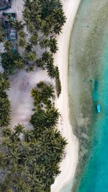 航拍海滩和椰子树