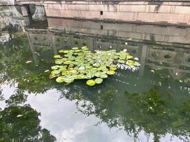 苏州园林