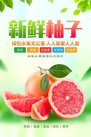 柚子