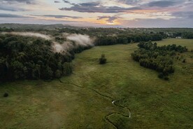 云海树林风景