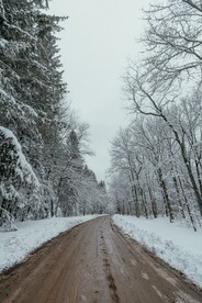 大雪覆盖的林中道路