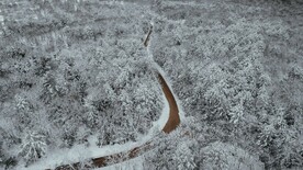航拍雪林中道路