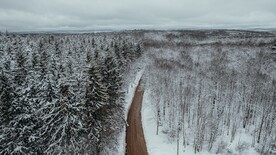 航拍雪林中道路
