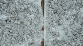 航拍雪林中道路