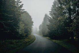 林间道路
