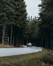 在林中道路上行驶的汽车