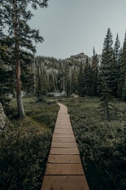 林间小路