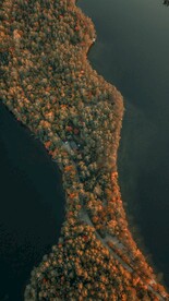 航拍秋林湖景