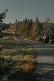林间道路