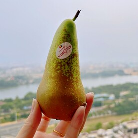 啤梨