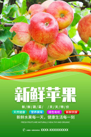 苹果